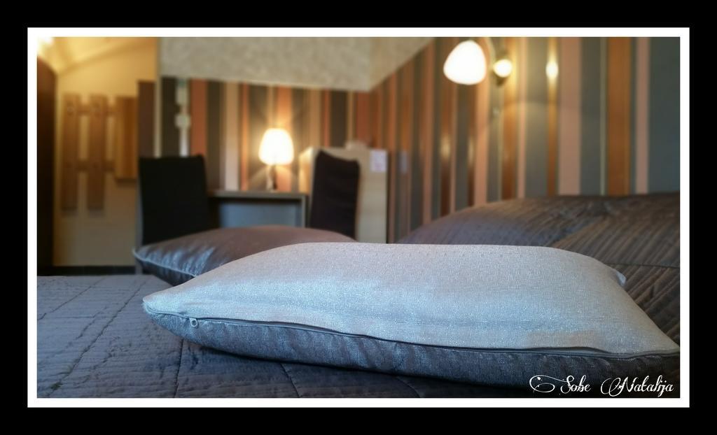 Smjestaj Natalija Hotel Osijek Kamer foto